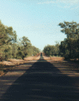 [A North Queensland Road]